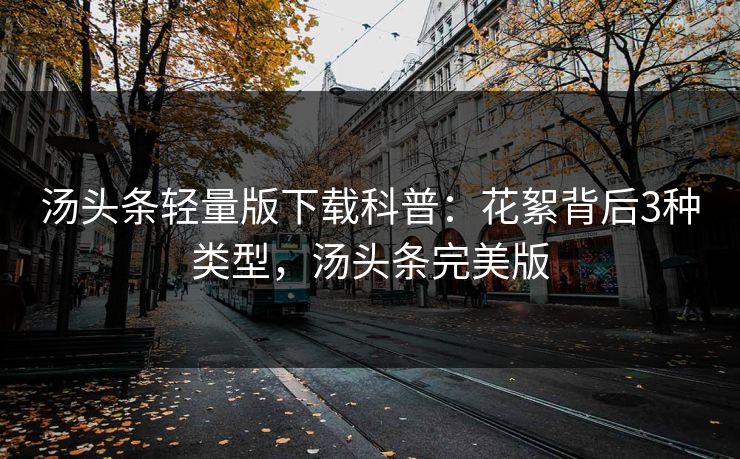 汤头条轻量版下载科普：花絮背后3种类型，汤头条完美版