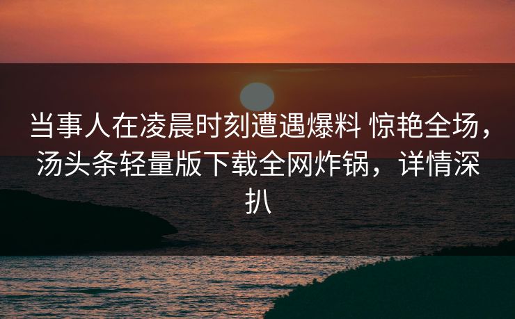 当事人在凌晨时刻遭遇爆料 惊艳全场，汤头条轻量版下载全网炸锅，详情深扒